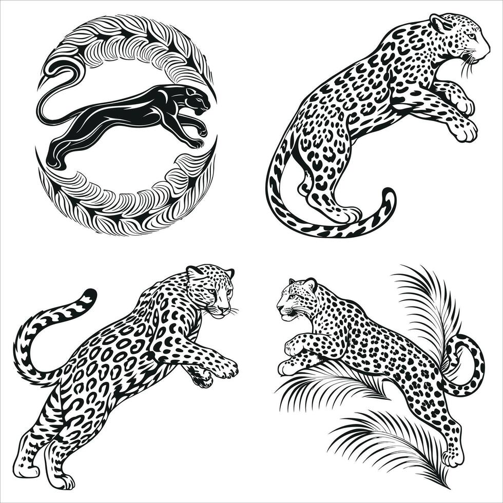Elegant Black and White Leopard Illustrations Depicting Wildlife and Nature with a Distinctive Artistic Style and Striking Composition vector