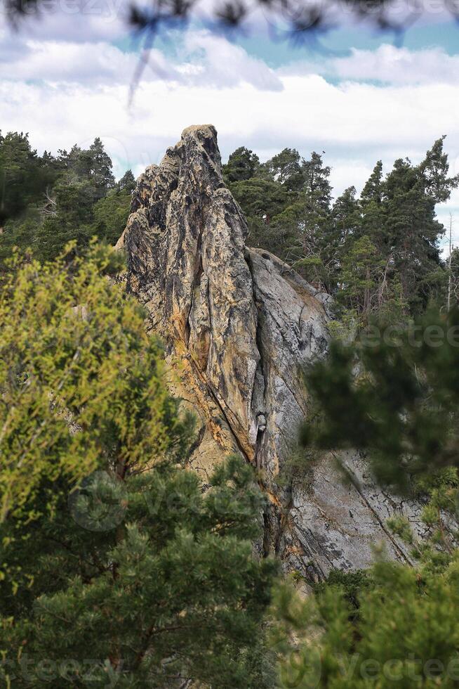 Sandstone cliff peak, called Hamburger Wappen, rising steeply from a dense pine forest in the Harz mountains photo
