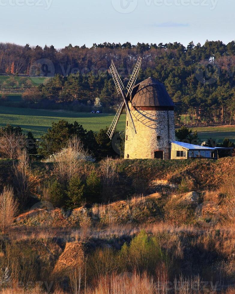 Historic windmill of Warnstedt surrounded by mixed vegetation and distant trees in soft sunlight photo