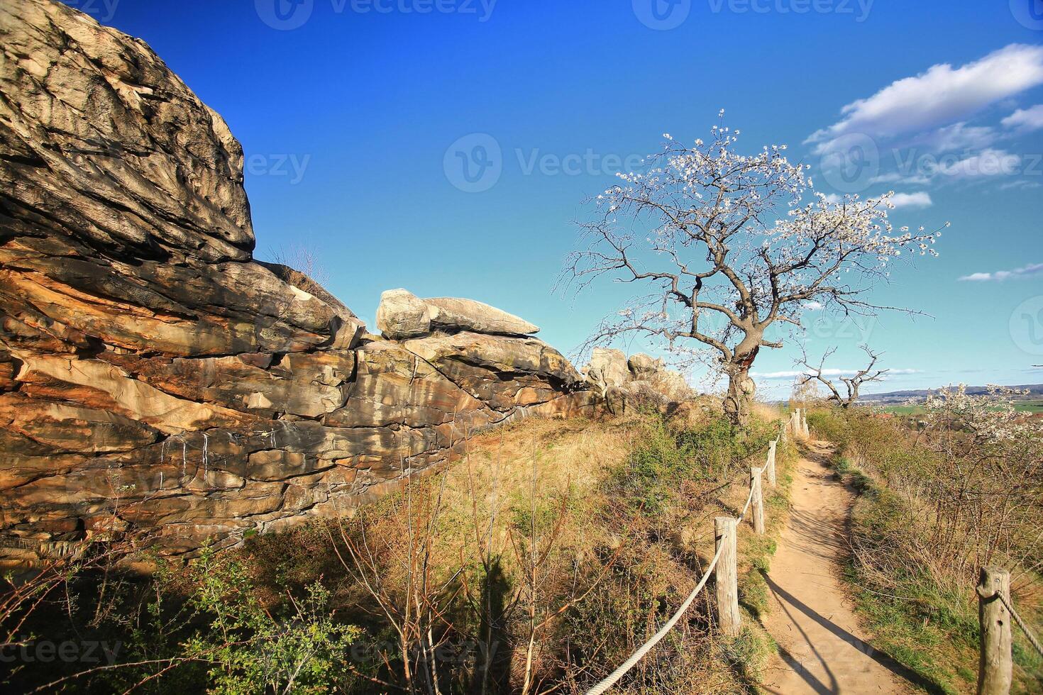 Rocky path blossoms under a bright sky beside the Teufelsmauer in the Harz mountains, Germany photo