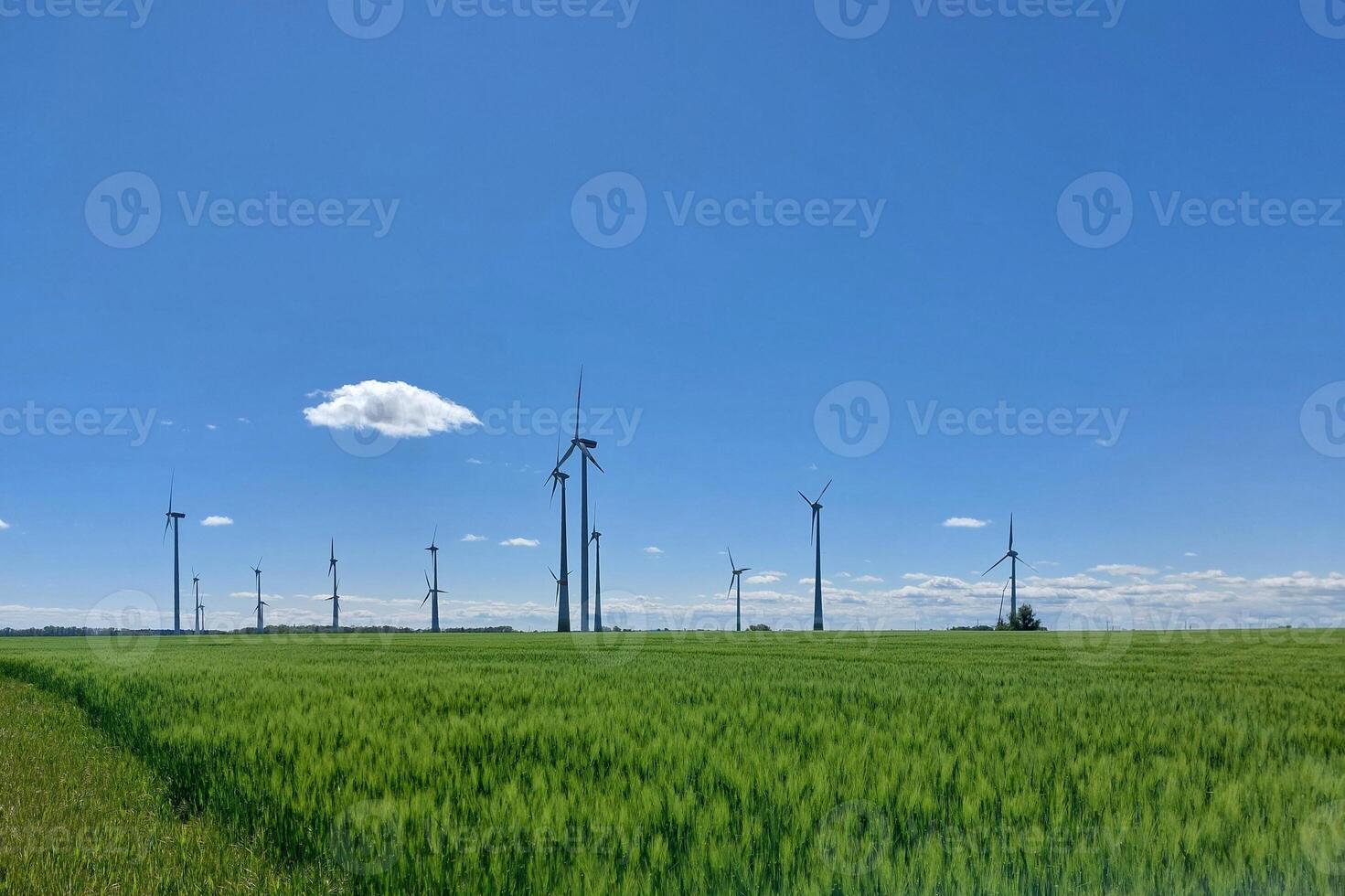 Wind turbines field stretching across a wide green plain beneath a clear blue spring sky photo
