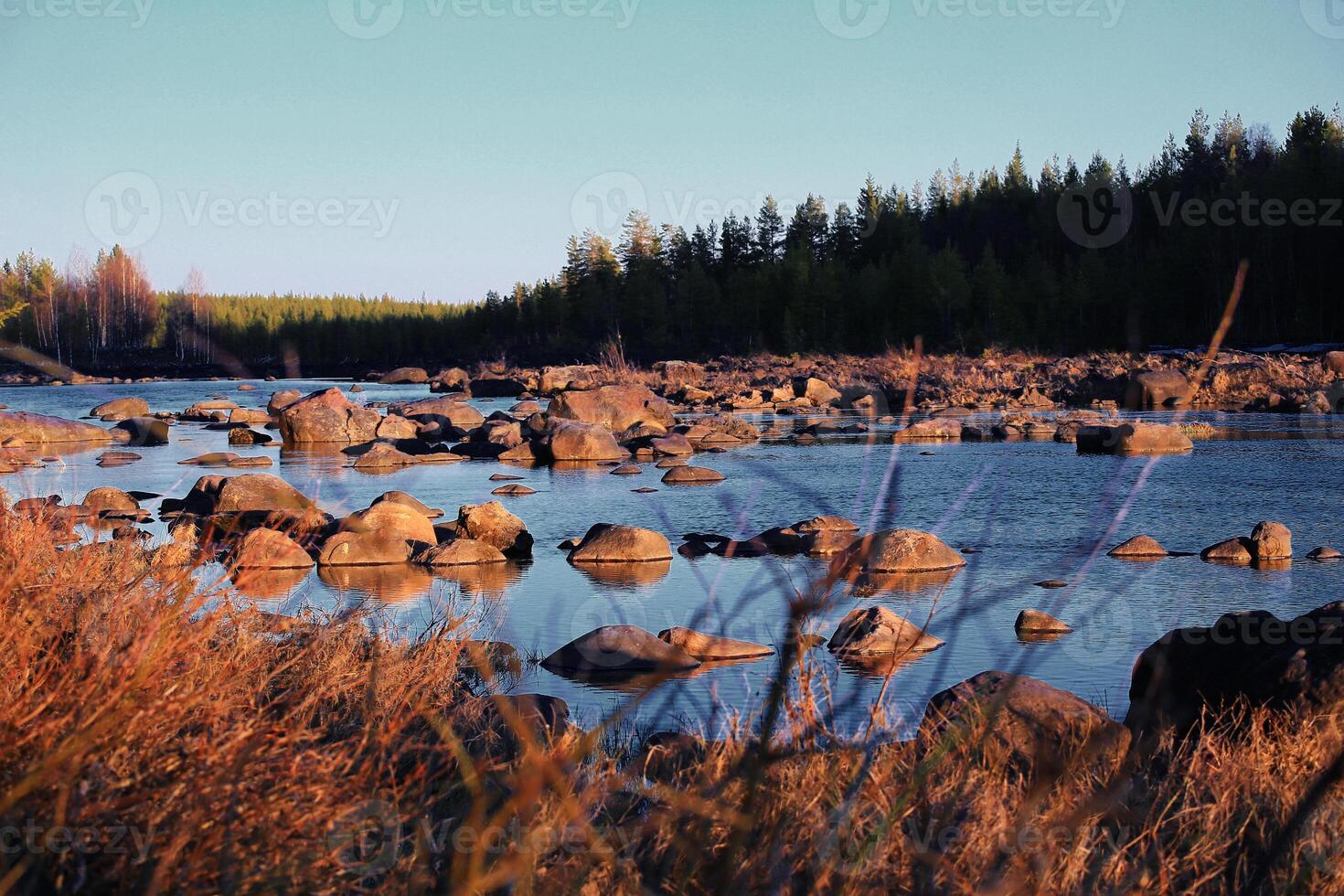 Rocky river landscape with scattered boulders and forested banks in warm evening light photo