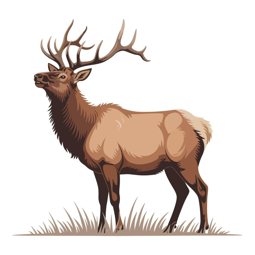 Elk standing in grass illustration vector