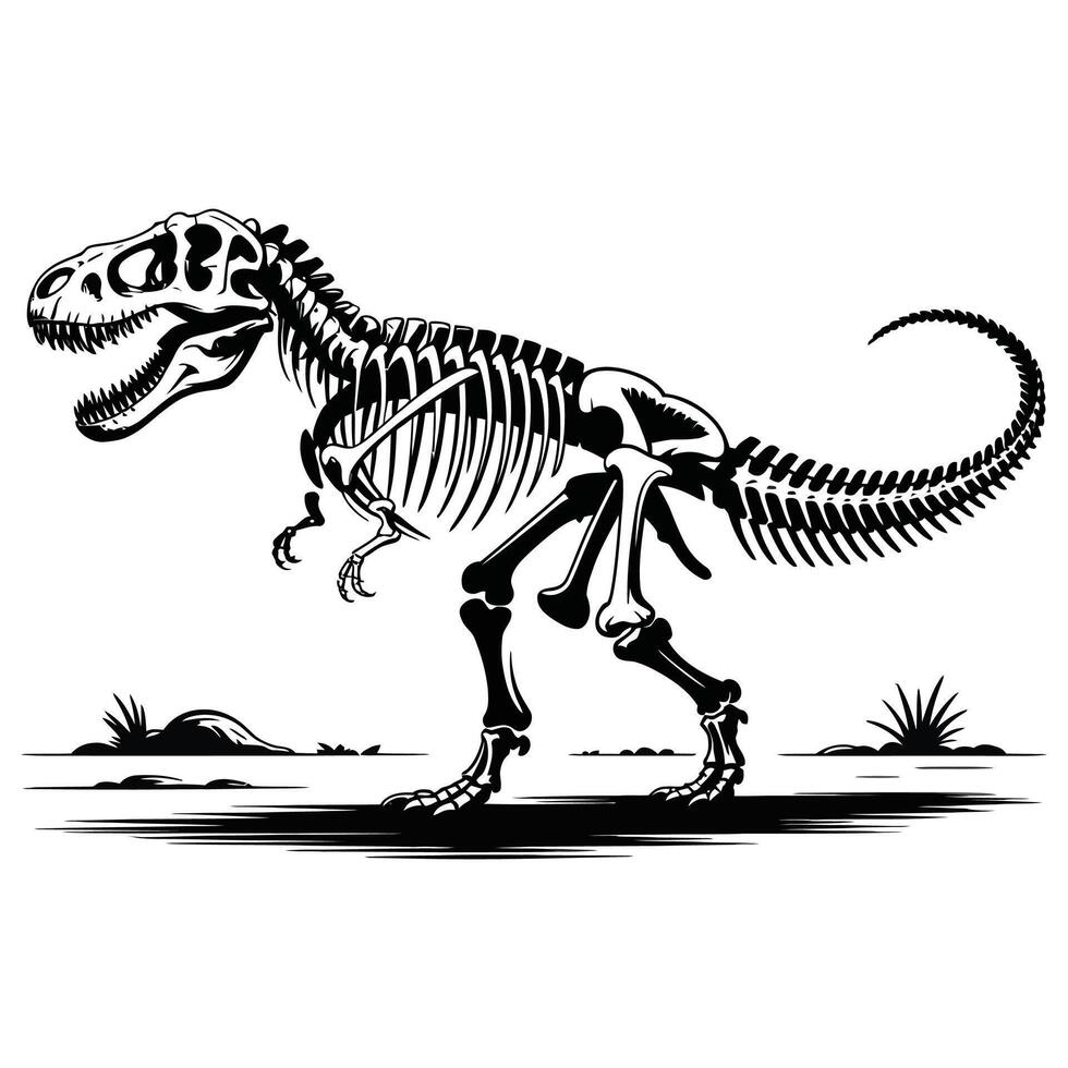 A t - rex skeleton walking vector