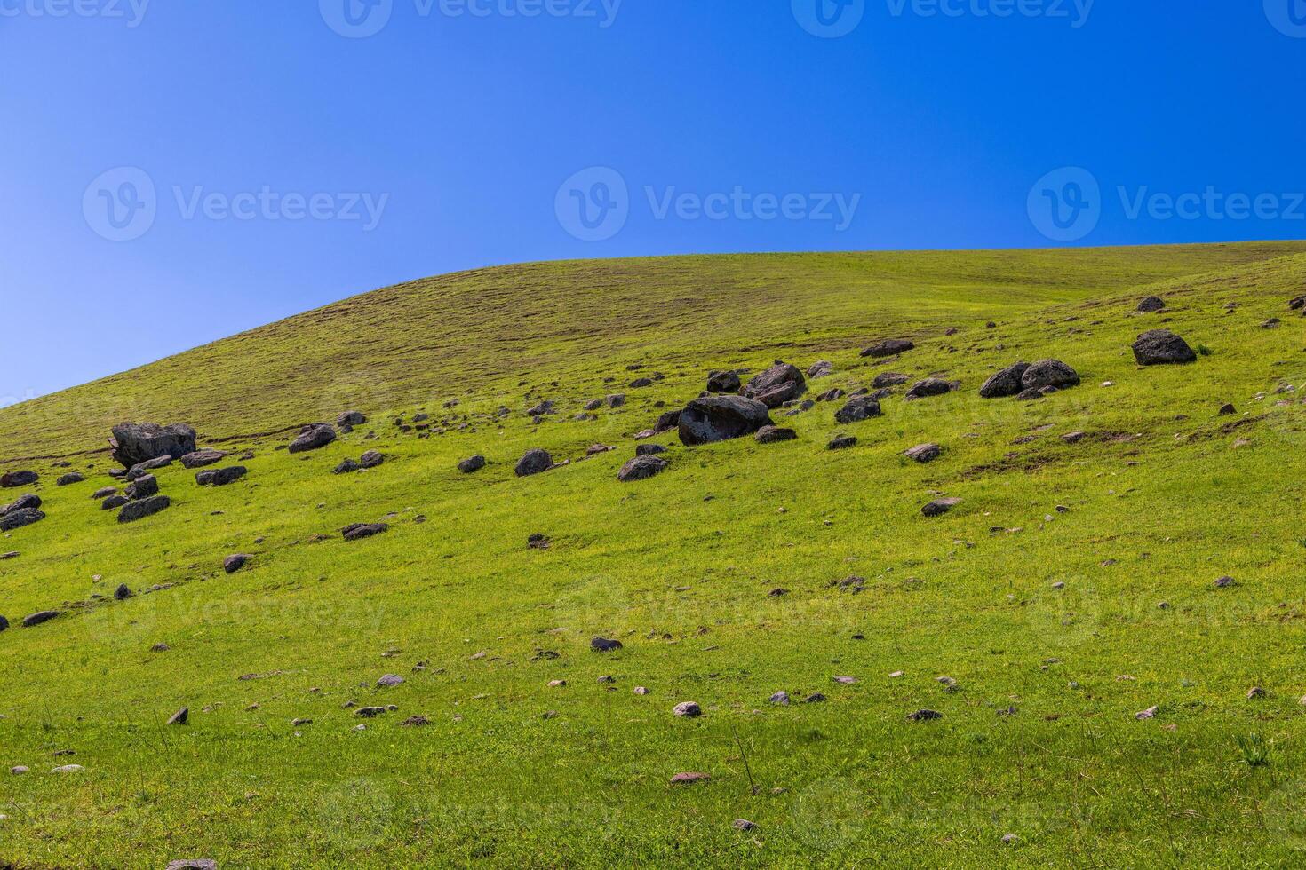 Lonely grassy slope with scattered dark rocks under a bright blue sky, captured in spring in rural Kyrgyz region photo