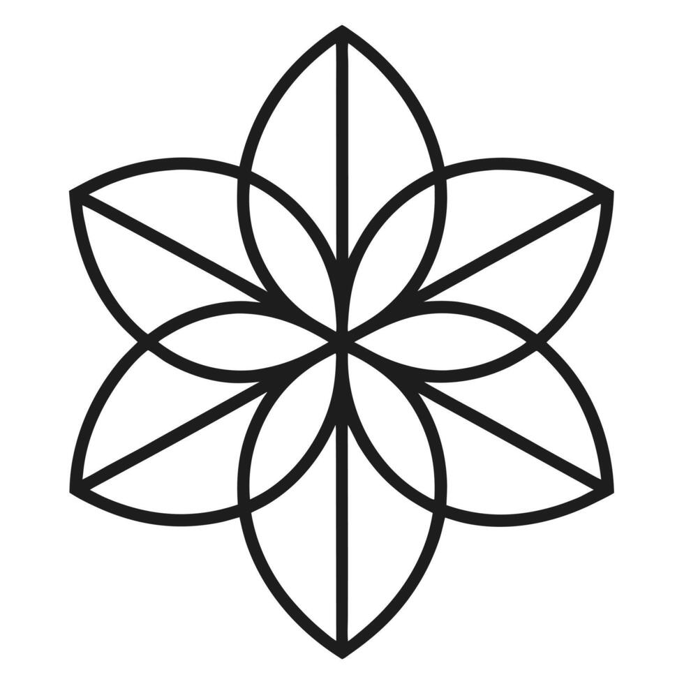 Black Floral Mandala on White Background flower petals vector