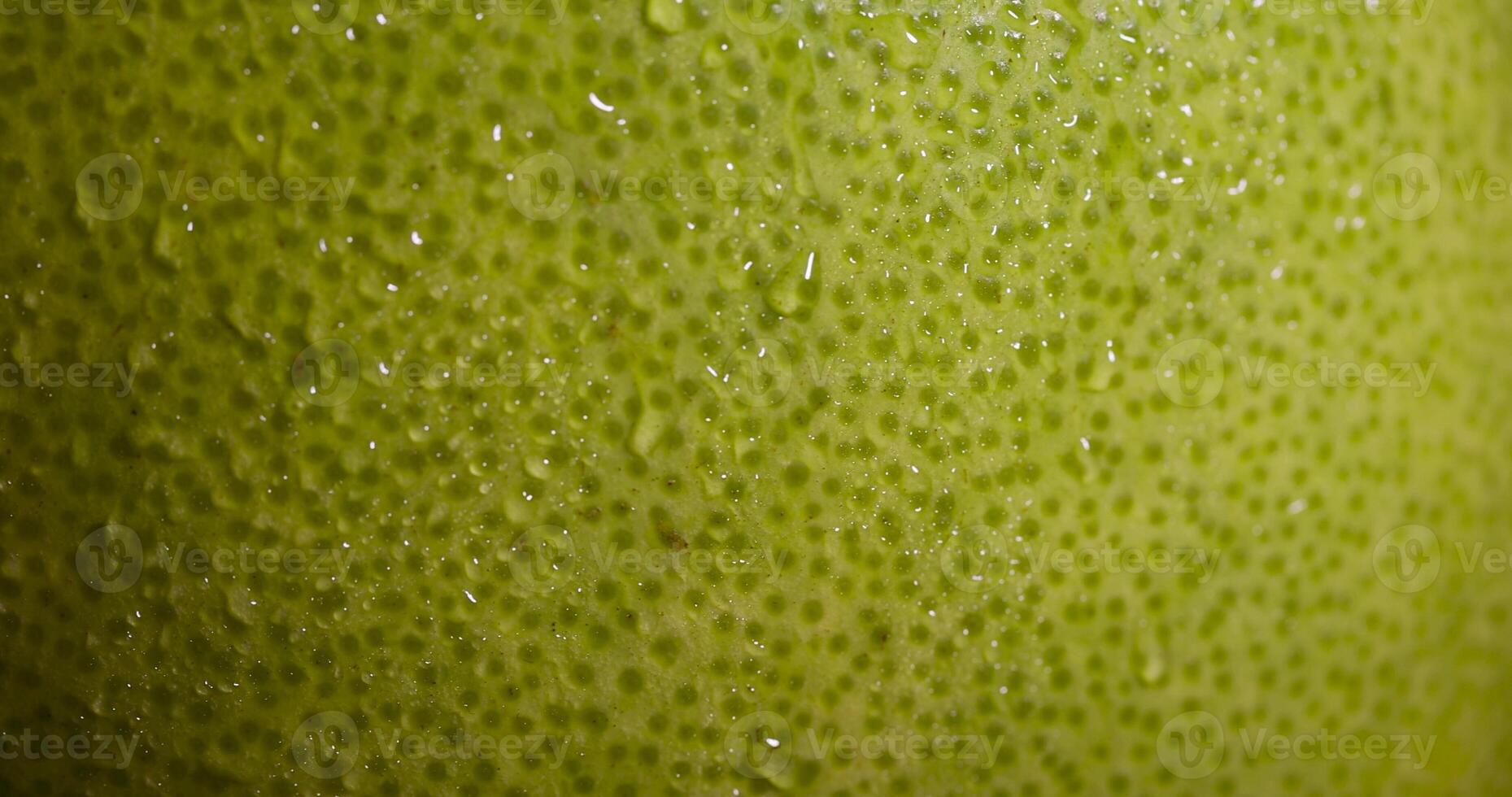 an unripe green grapefruit covered with water droplets photo