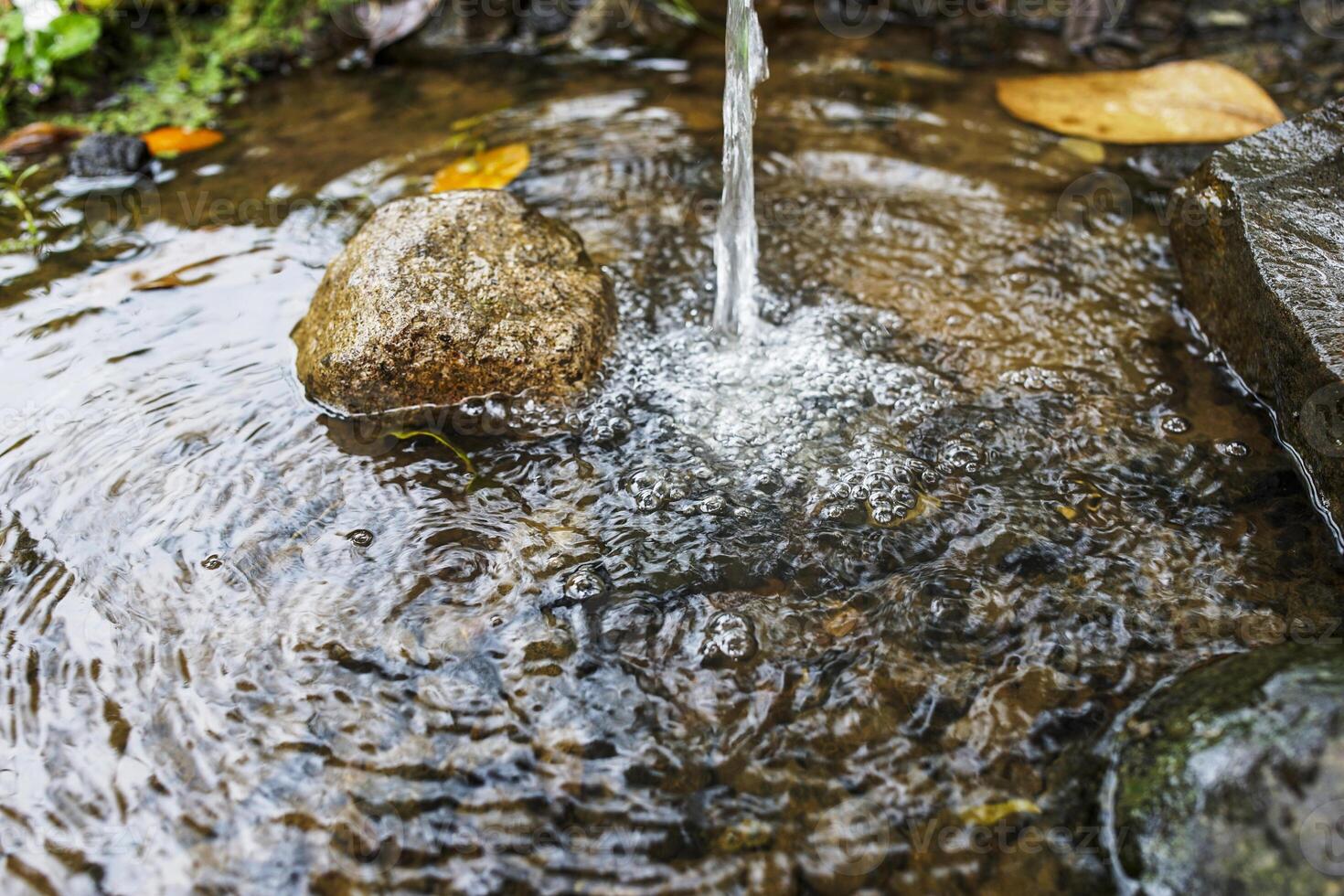 close up of water flowing towards the rice fields. photo
