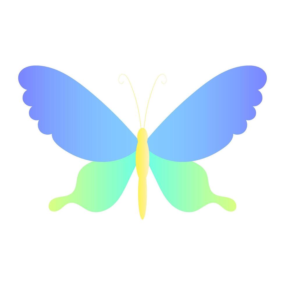 Beautiful Stylized Butterfly Graphic Illustration vector