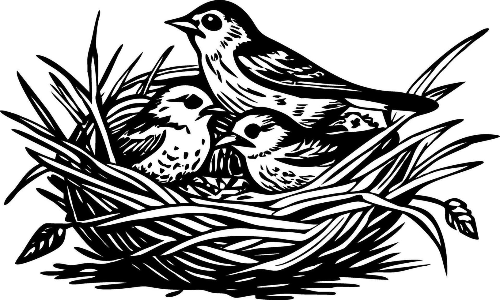 A vintage style illustration showing finch nest vector