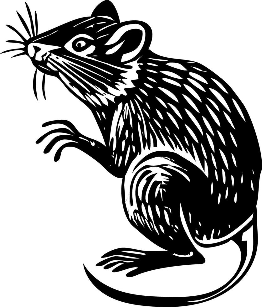 A vintage style illustration showing bamboo rat vector