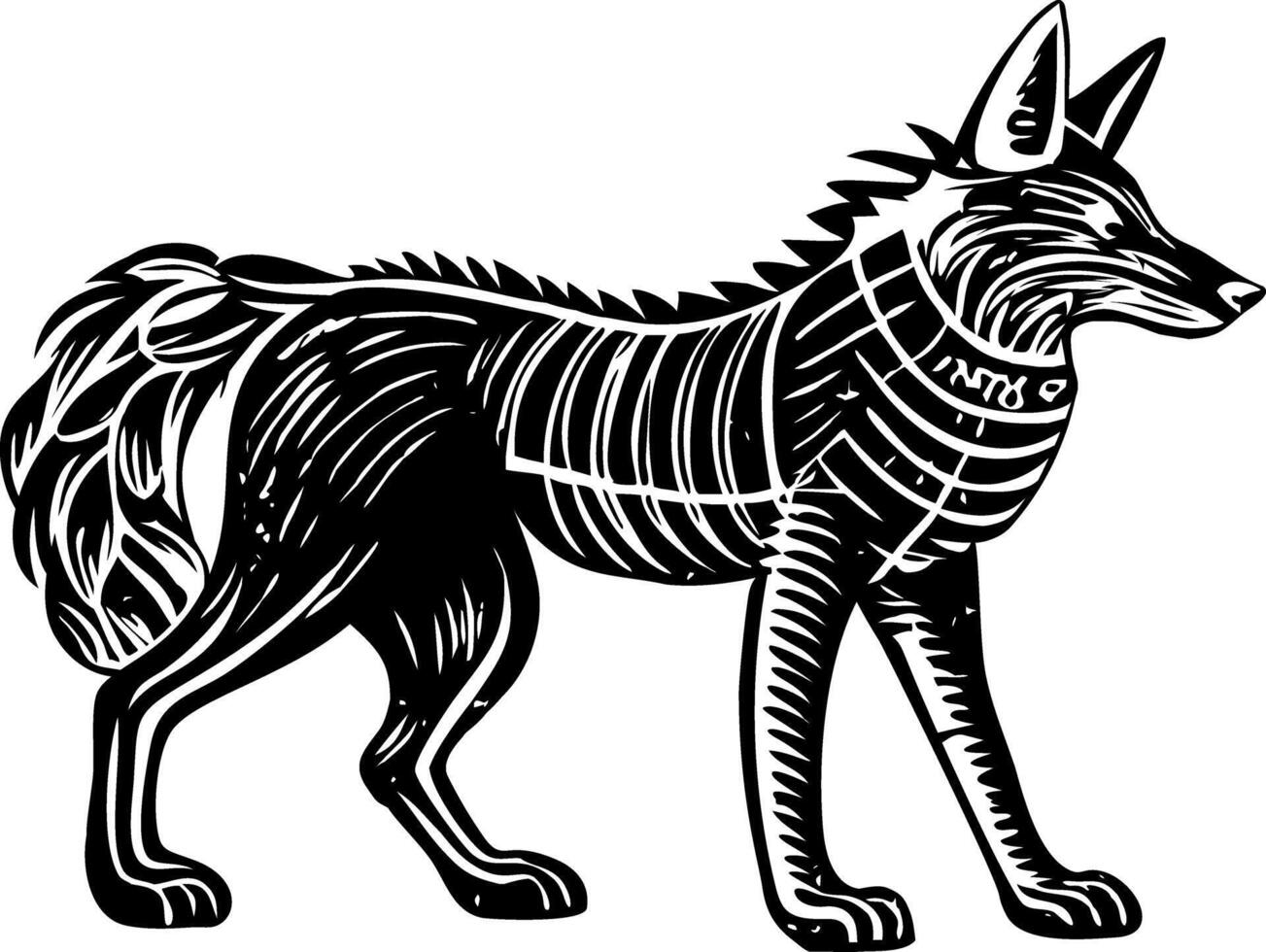 A vintage style illustration showing coyote vector