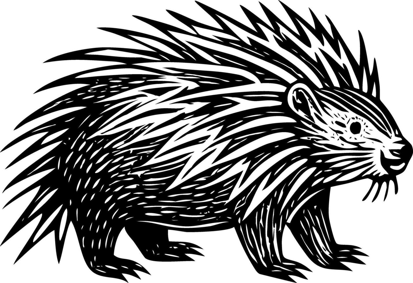 A vintage style illustration showing crested porcupine vector