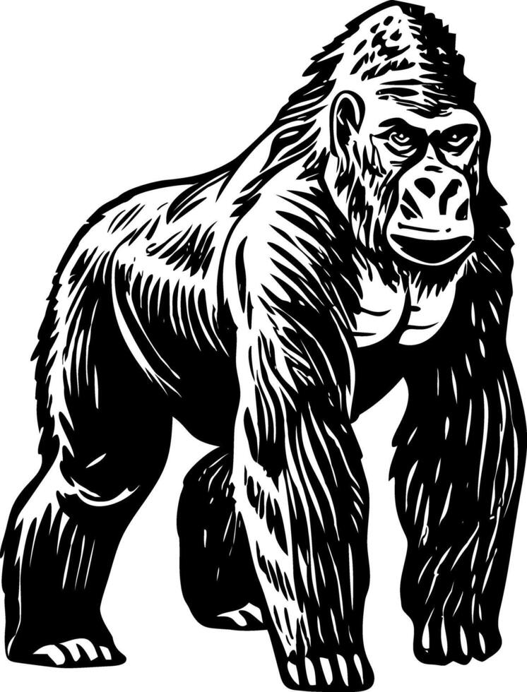 A vintage style illustration showing big gorilla vector