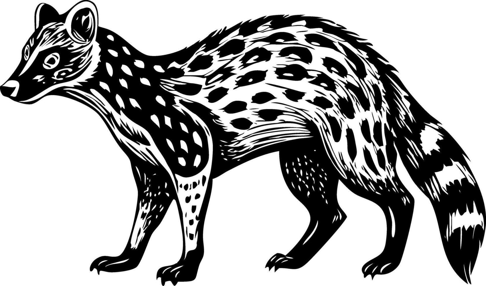 A vintage style illustration showing african civet vector