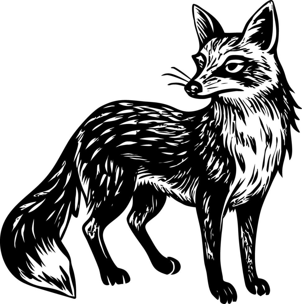A vintage style illustration showing forest fox vector
