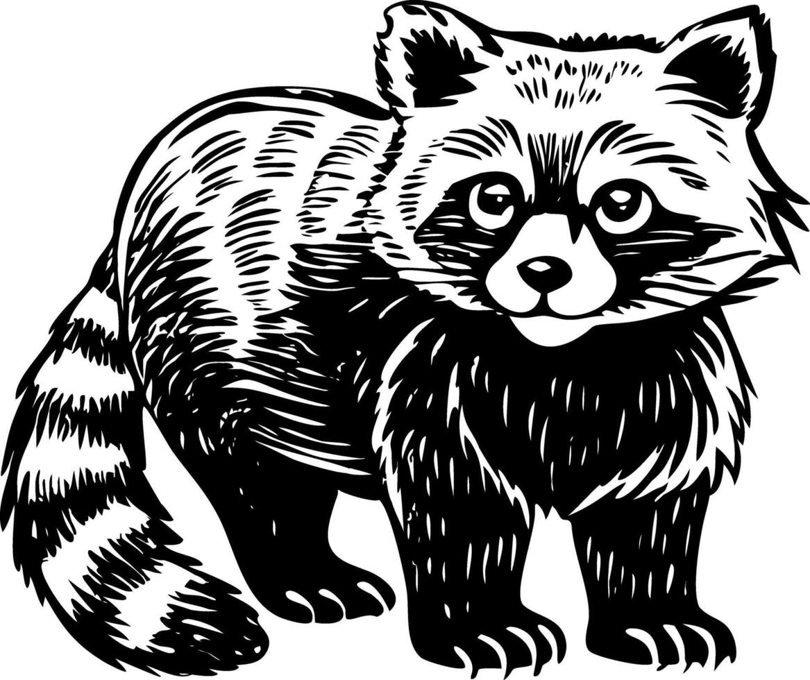 A vintage style illustration showing red panda vector