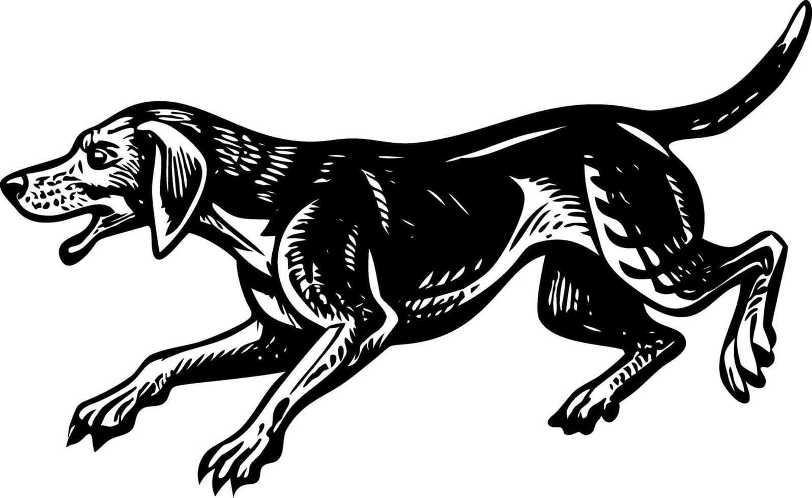 A vintage style illustration showing hunting dog vector