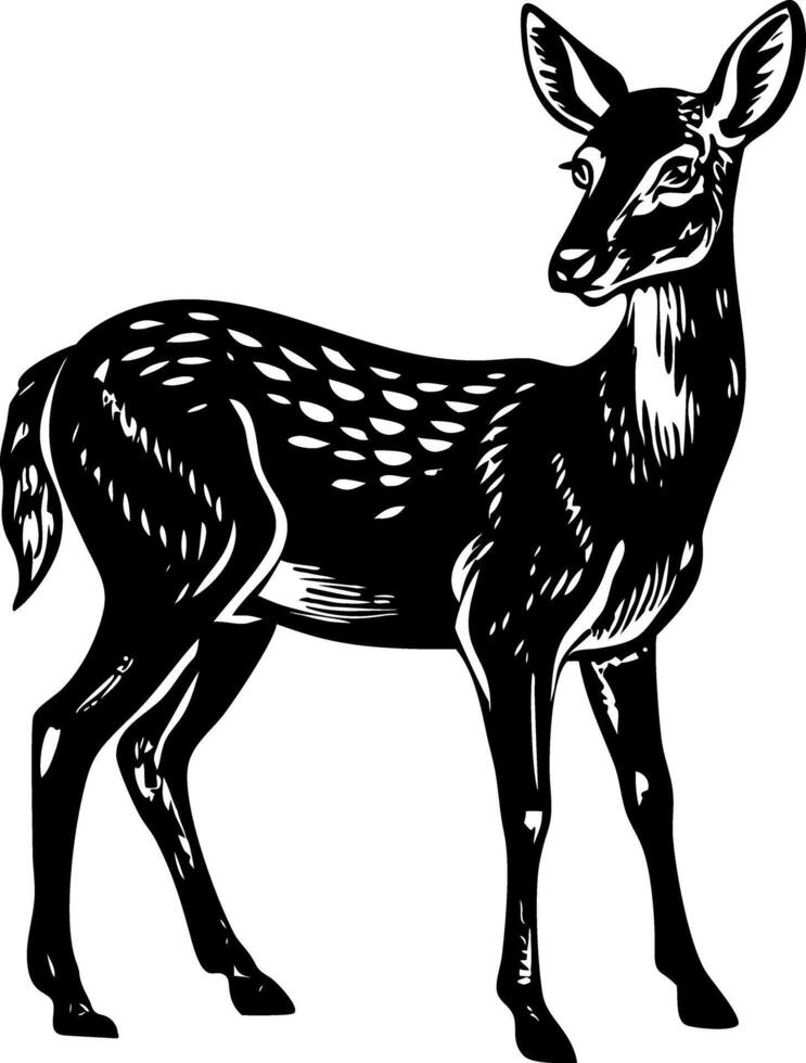 A vintage style illustration showing roe deer vector