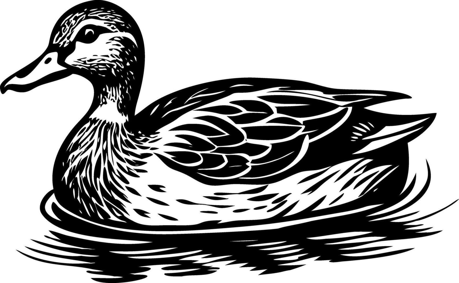 A vintage style illustration showing mallard vector