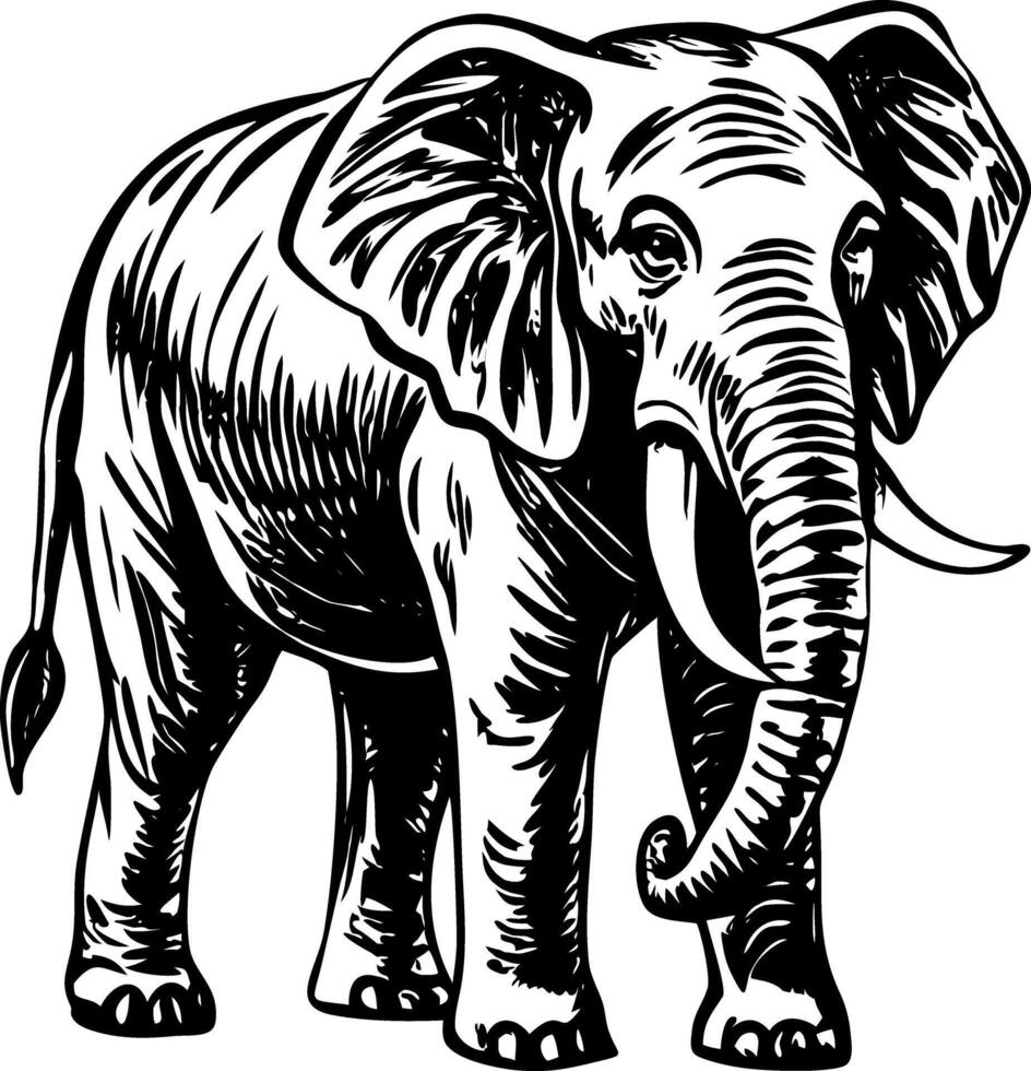 A vintage style illustration showing elephant vector