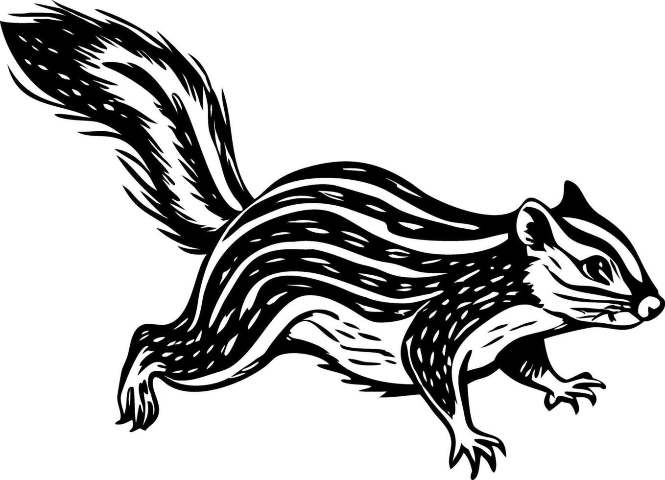 A vintage style illustration showing squirrel vector