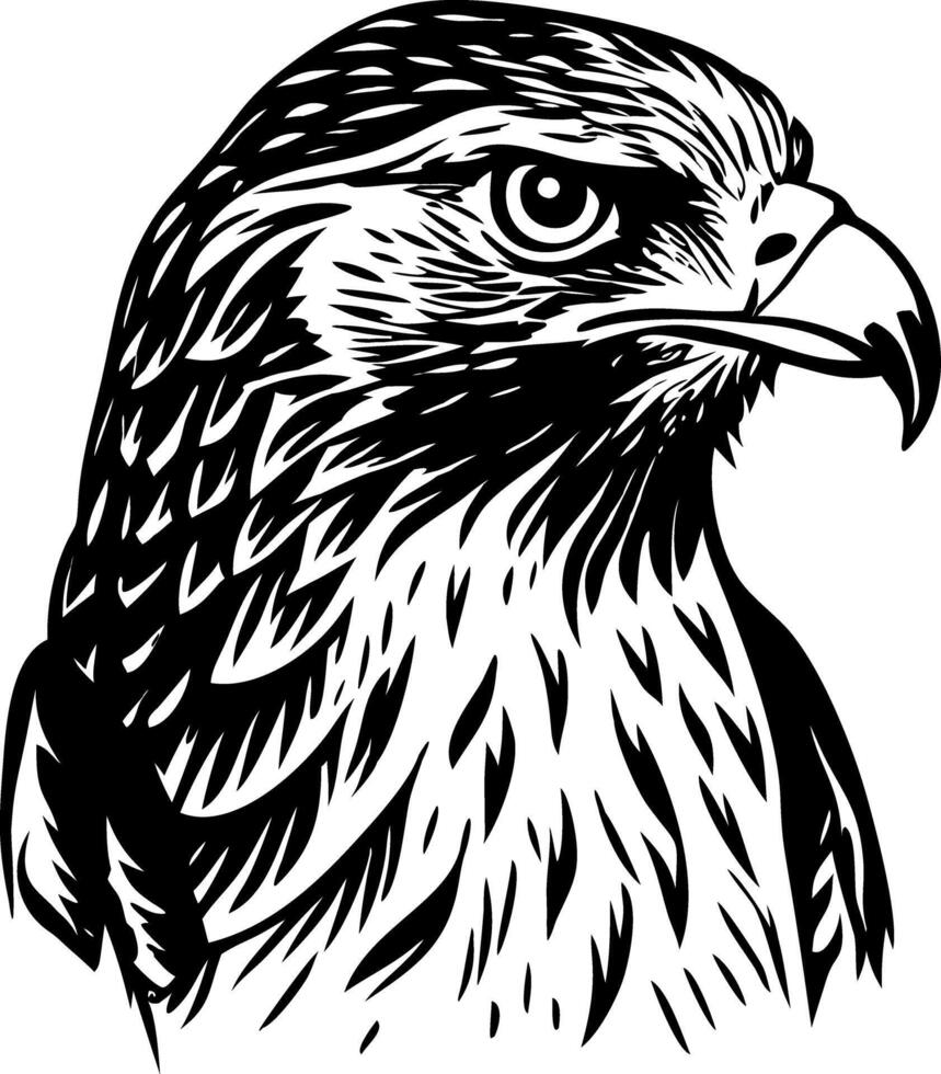 A vintage style illustration showing hawk stare vector
