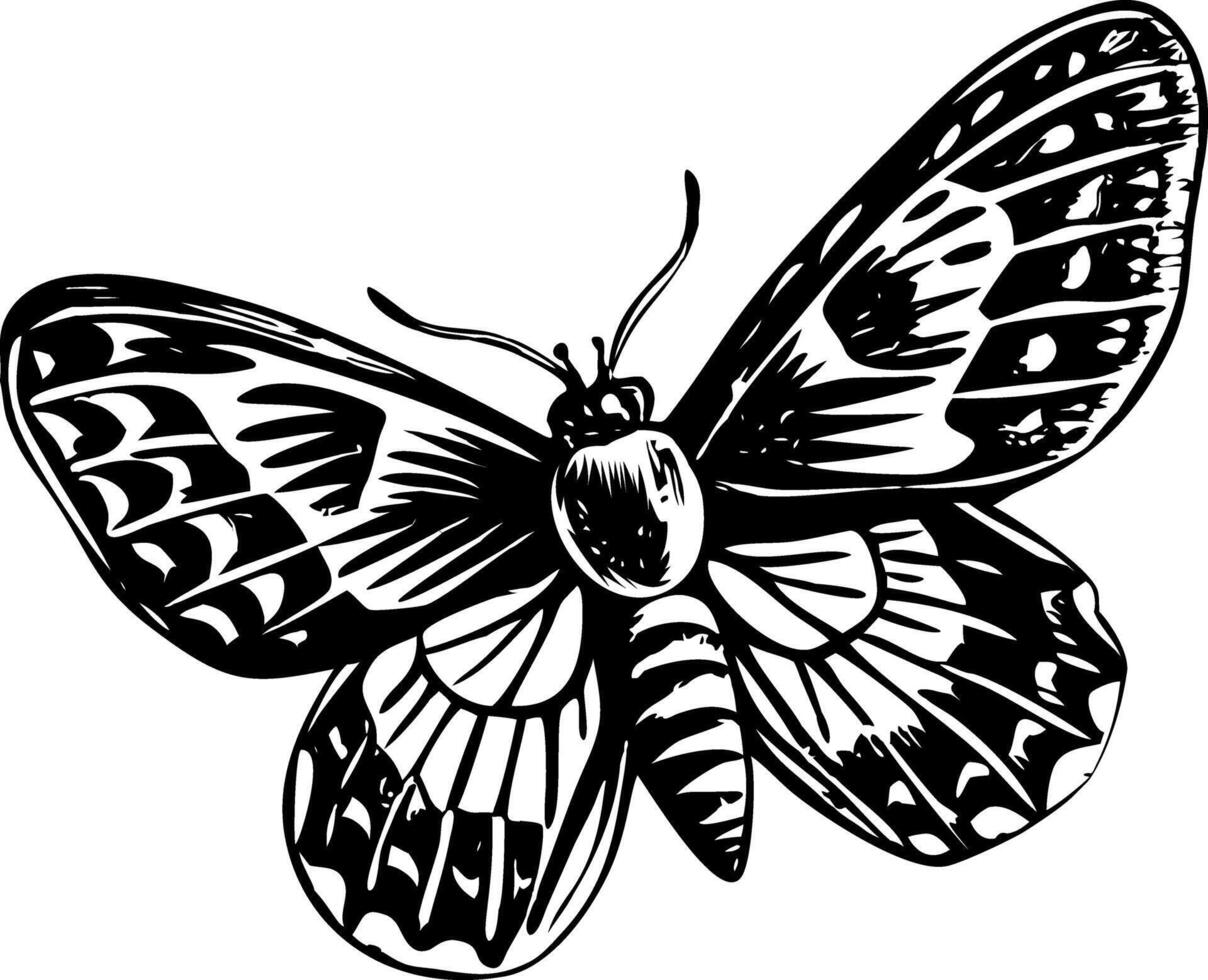A glyph style illustration representing tiger moth vector