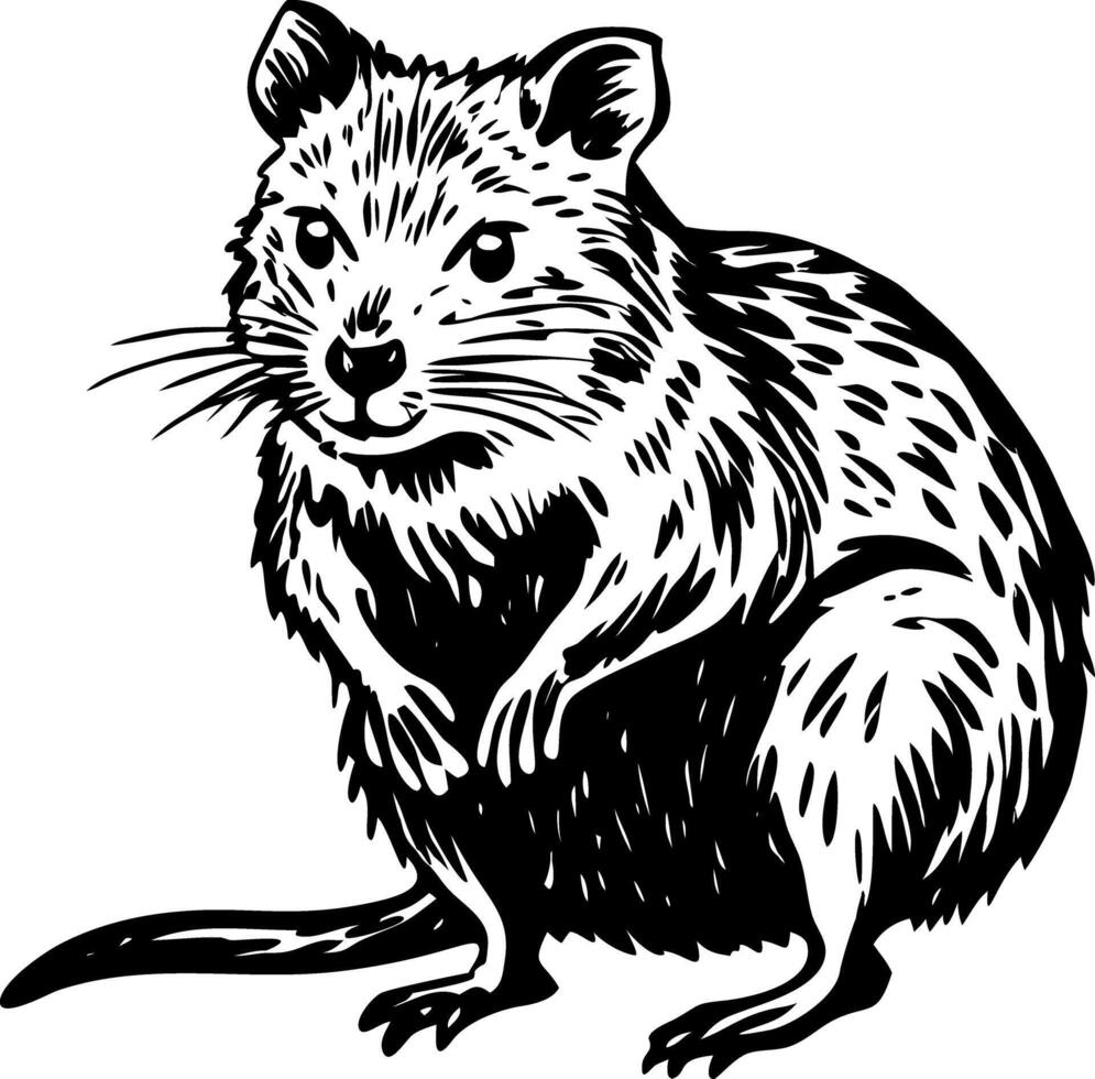 A glyph style illustration representing quokka vector