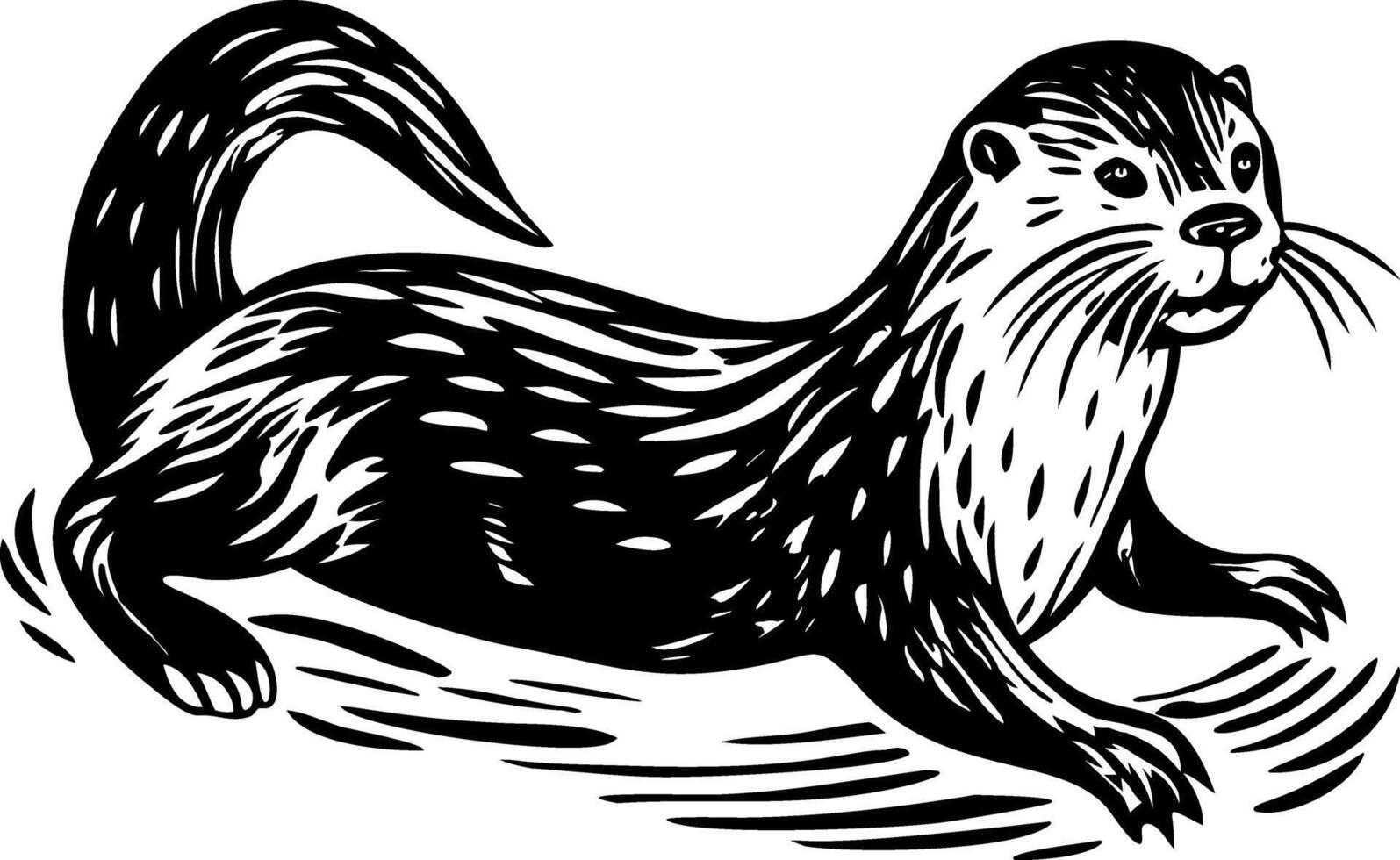 A vintage style illustration showing wild otter vector