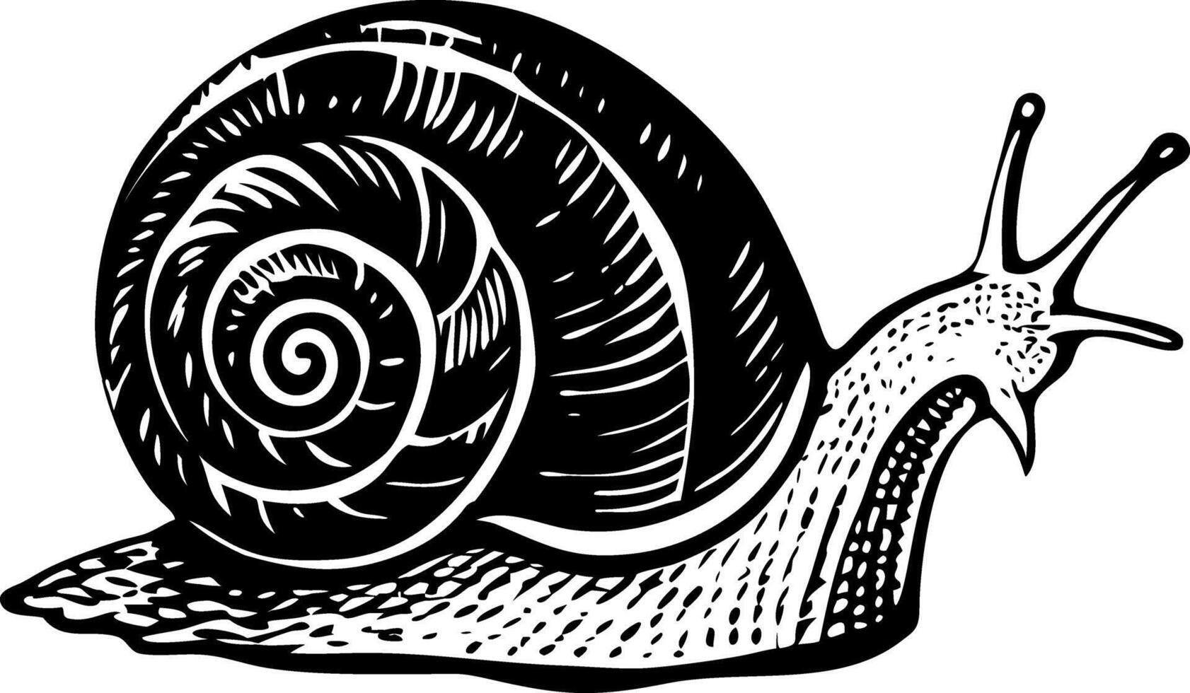 A glyph style illustration representing snail vector