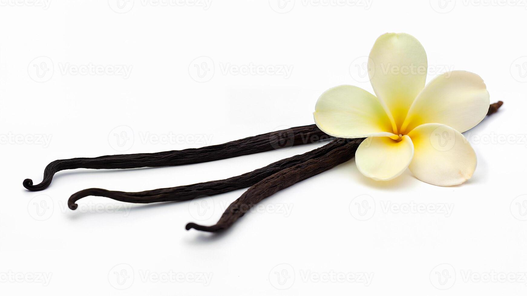 Vanilla Flower and Sticks Isolated on White background photo