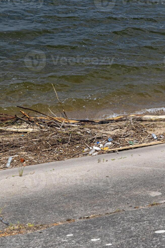 Trash on the beach washed up by waves and wind on the shore of a lake, Mitkow Bay, Poland photo