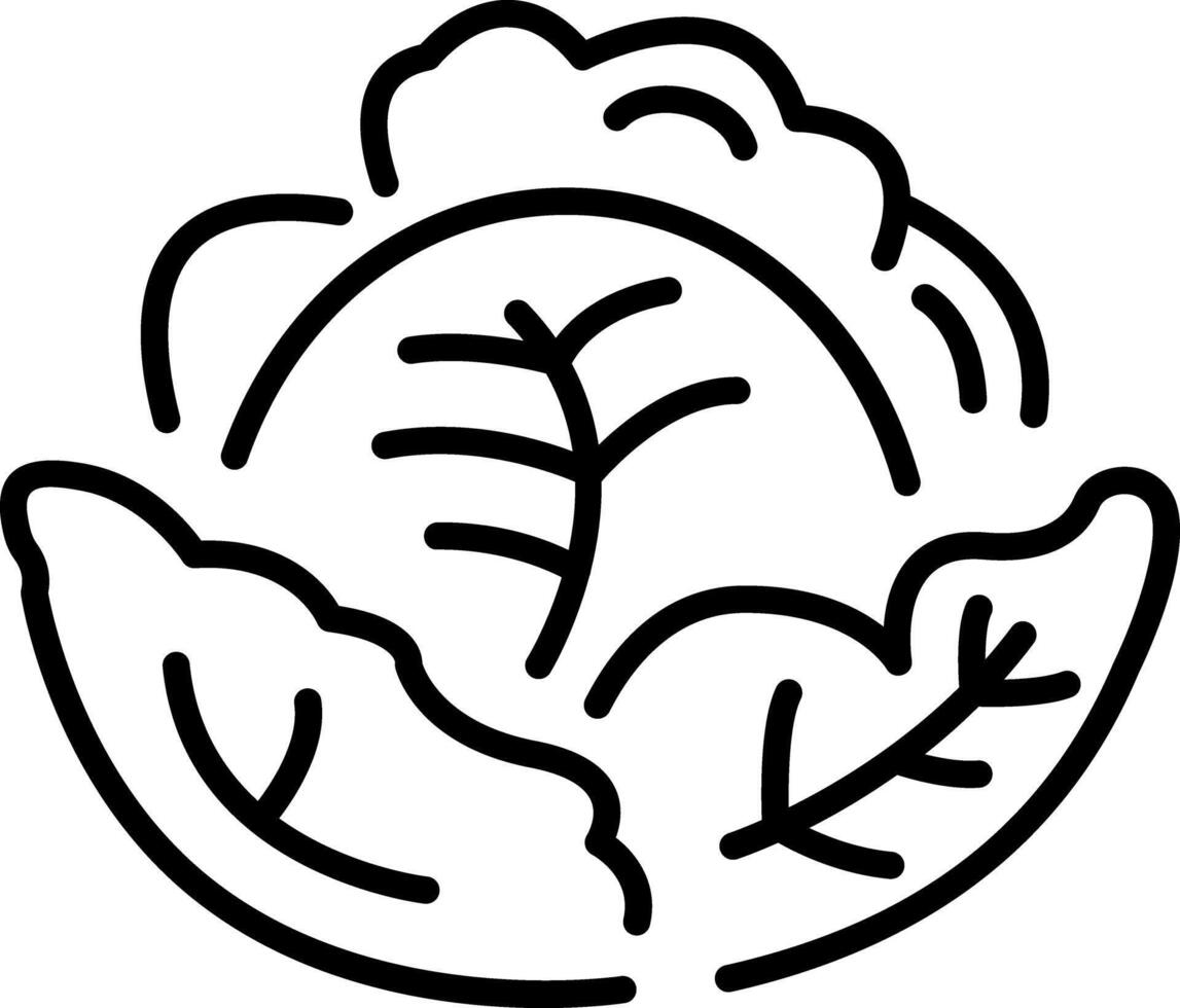 An outline style icon depicting cabbage vector