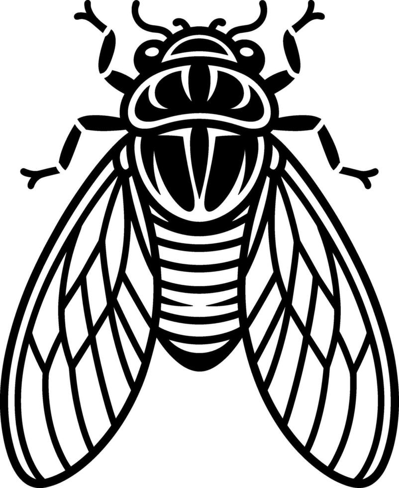 Cicada Top Down View vector