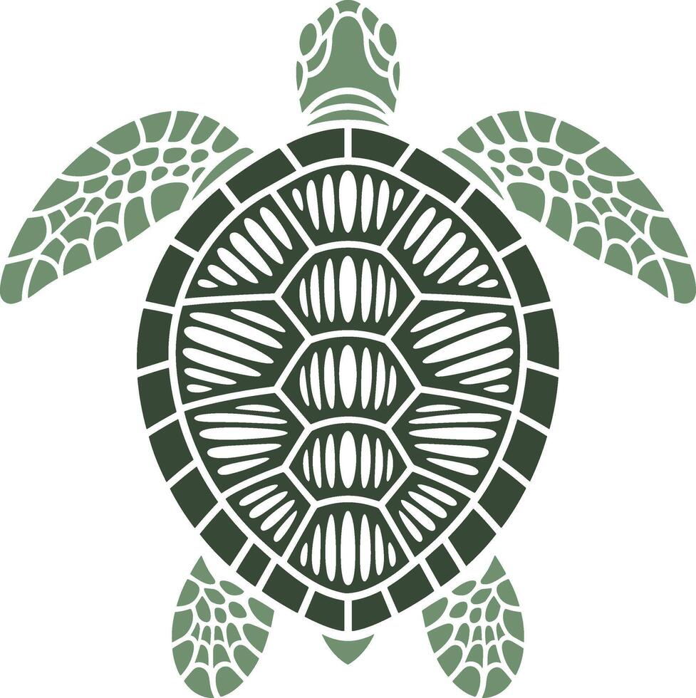 A green sea turtle on a white background vector