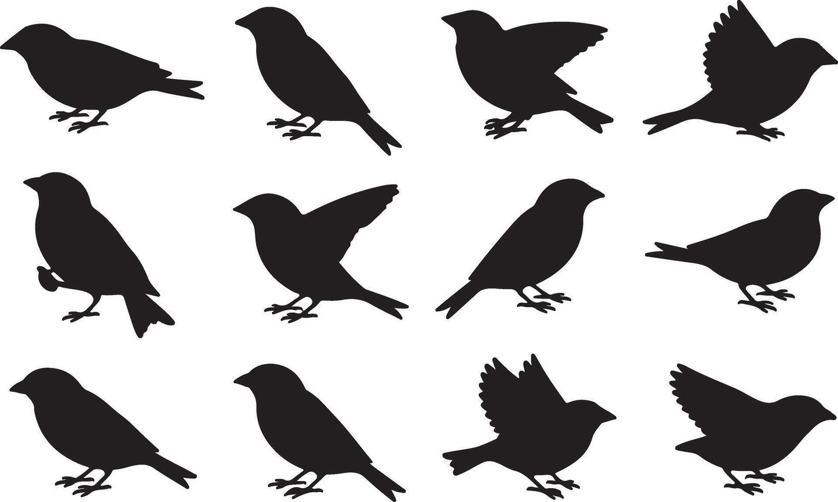Twelve Silhouettes of Birds in Flight and Resting, Elegant Black Bird Illustrations on White Background, Peaceful Nature Scene vector