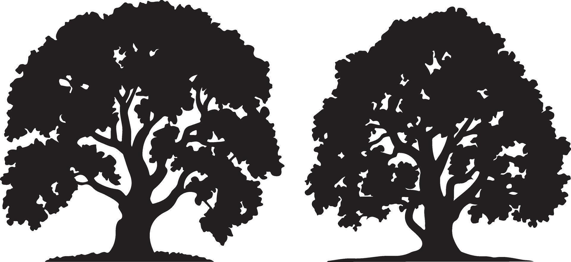 Majestic Black Silhouette of Two Ancient Oak Trees Standing Tall Against a White Background, Evoking a Sense of Serenity and Timeless Beauty. vector