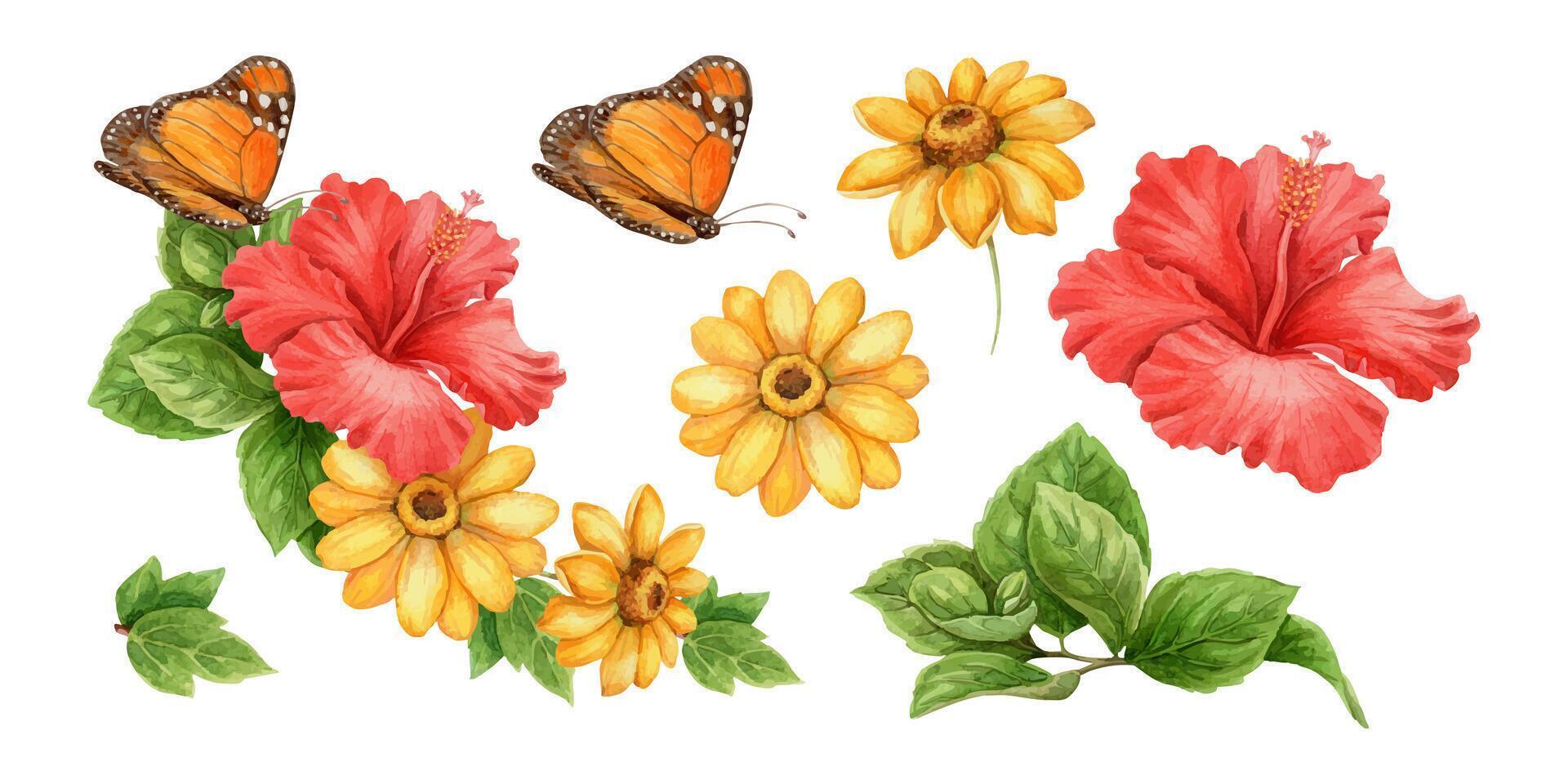 Butterflies and tropical flowers illustration vector