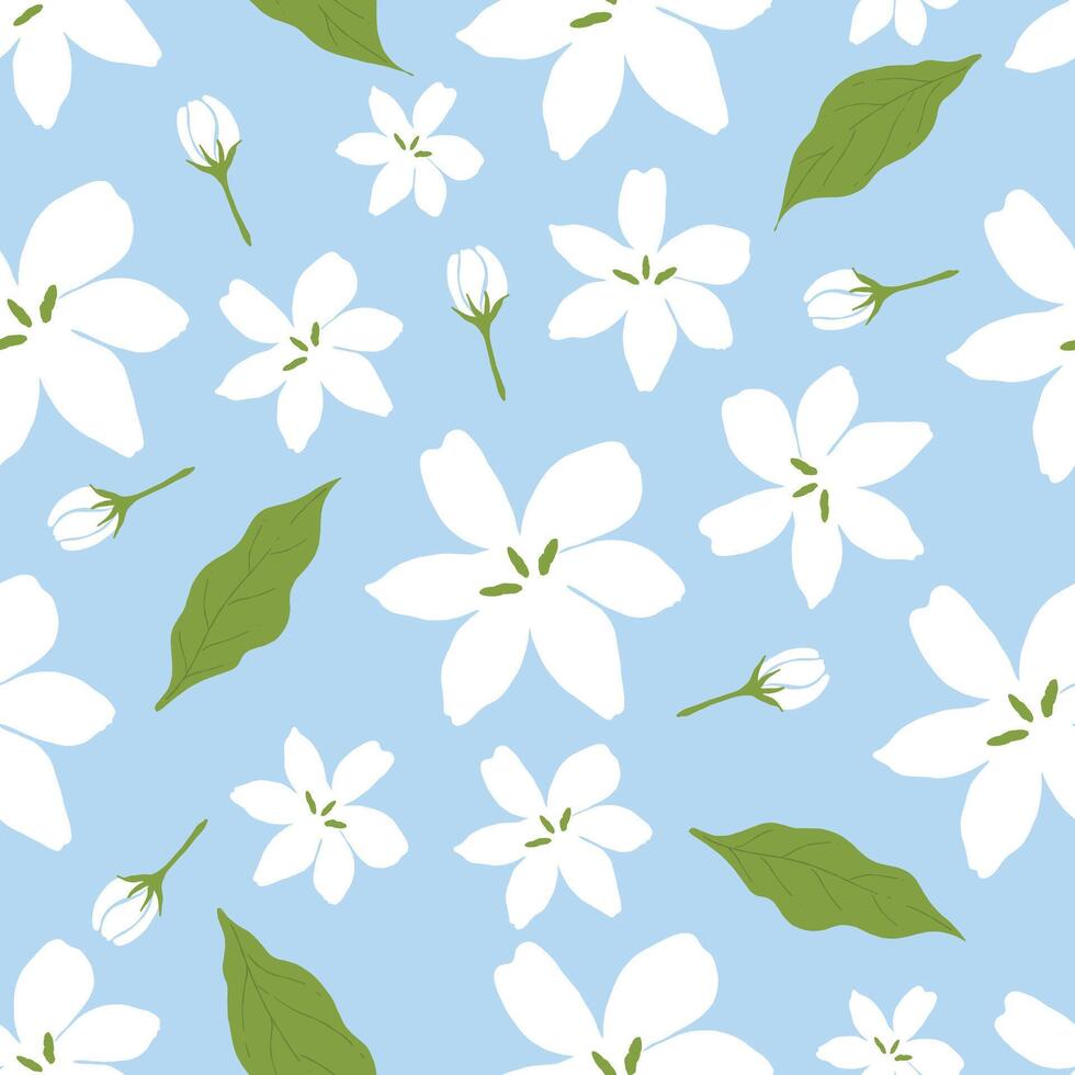 Seamless pattern hand draw jusmine flower and leaf on light blue background vector