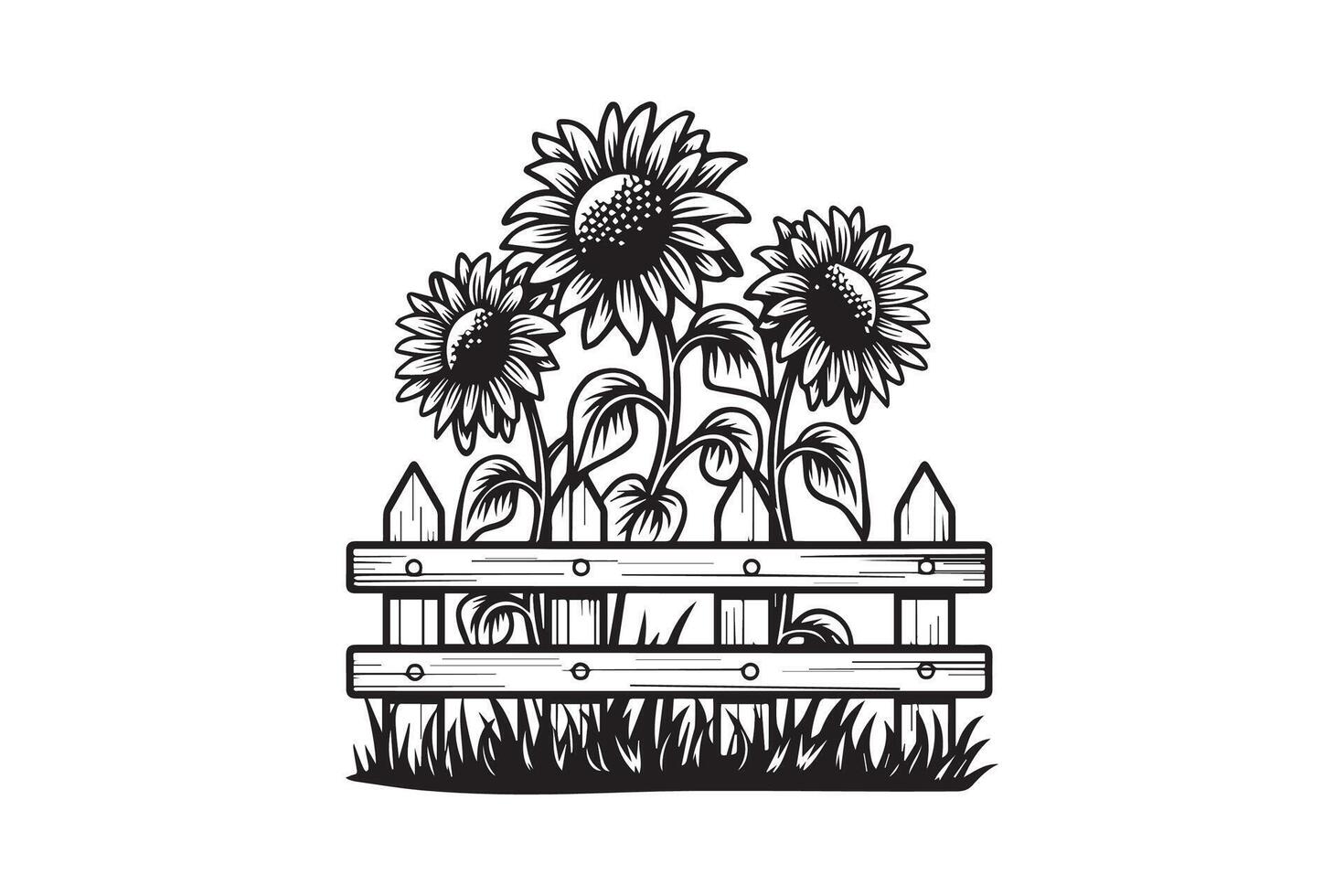 sunflowers garden Black and White vector