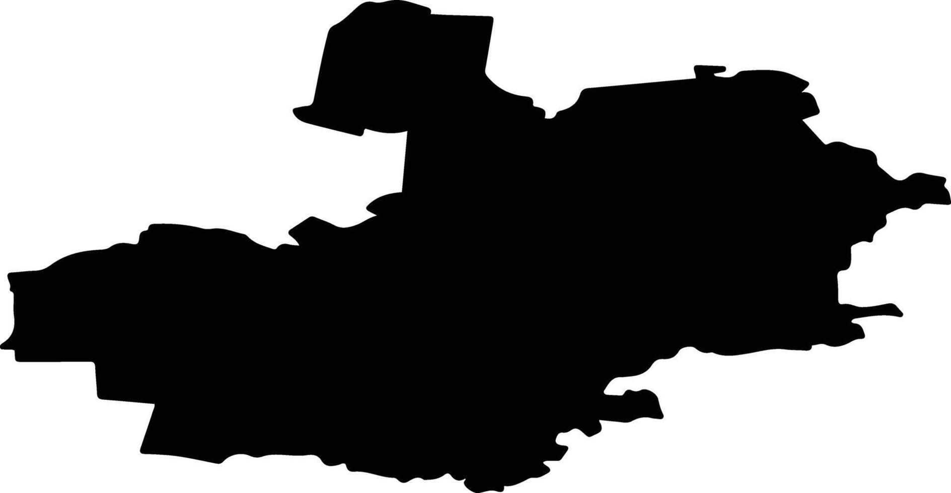 Soligalichsky District Russia silhouette map vector