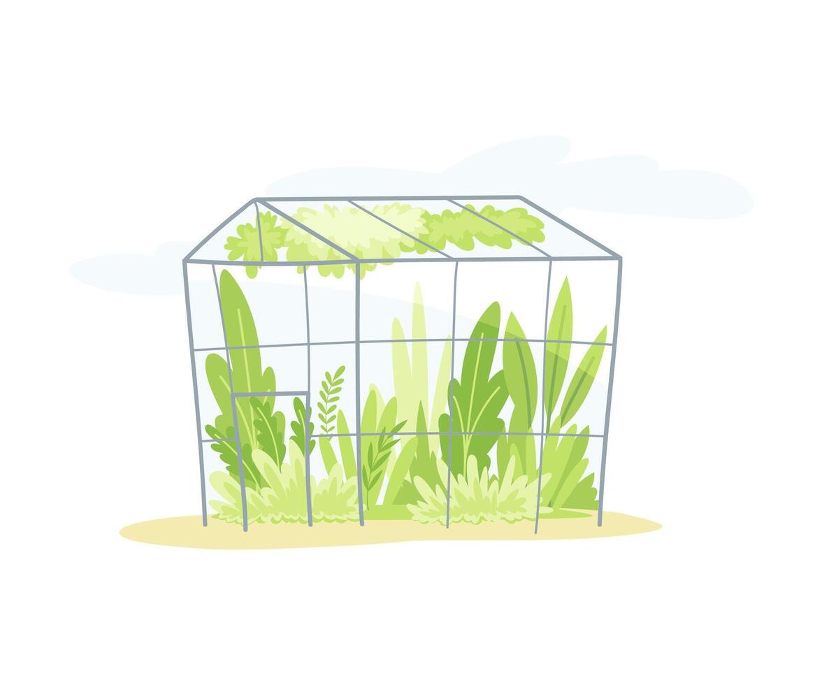 Gardening with Crop Growing in Greenhouse as Plant Cultivation and Agriculture Illustration vector