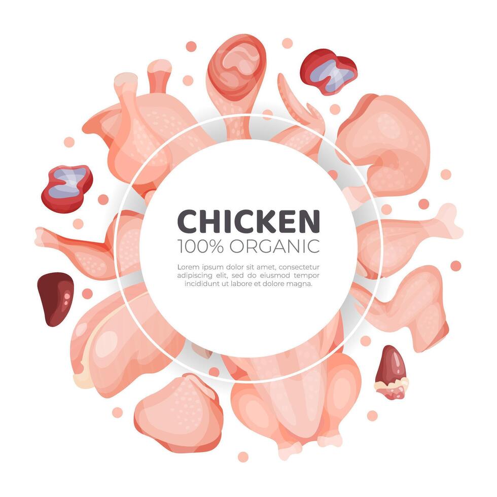Chicken meat banner template with space for text. Fresh meat products poster, card, brochure design illustration vector