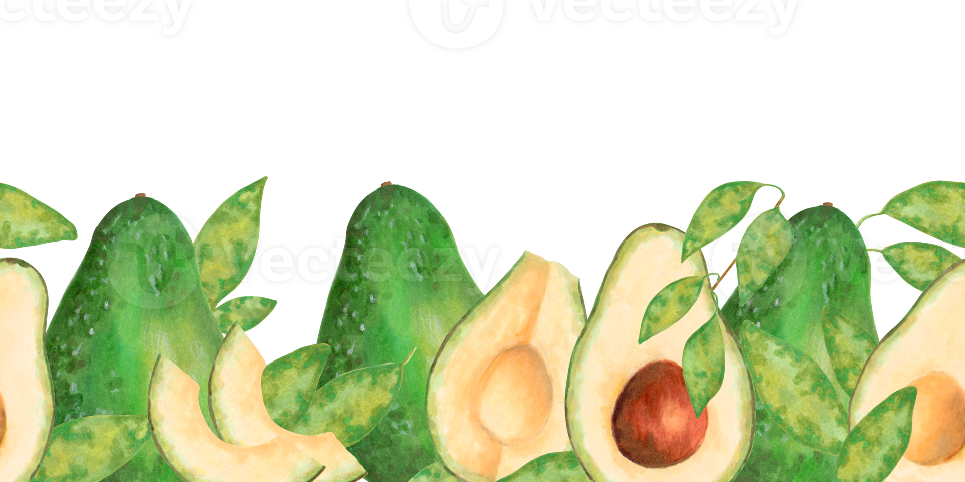 Seamless border with avocado both whole and sliced fruits with leaves. Watercolor and marker illustration. Vegetable banner for food, tropical themes related design. Hand drawn isolated background png