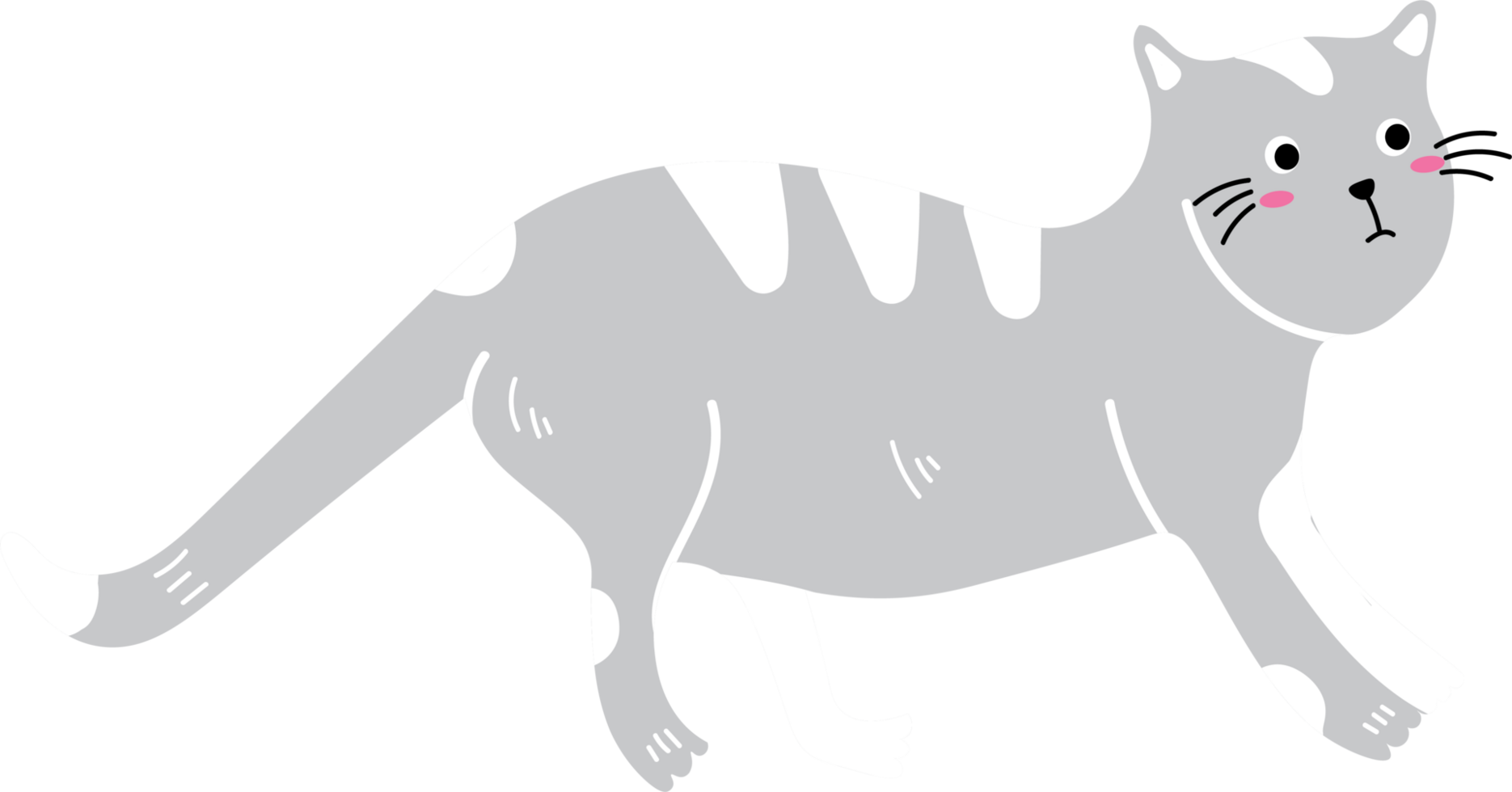Cute Domestic Cat Celebrating World Cat Day png