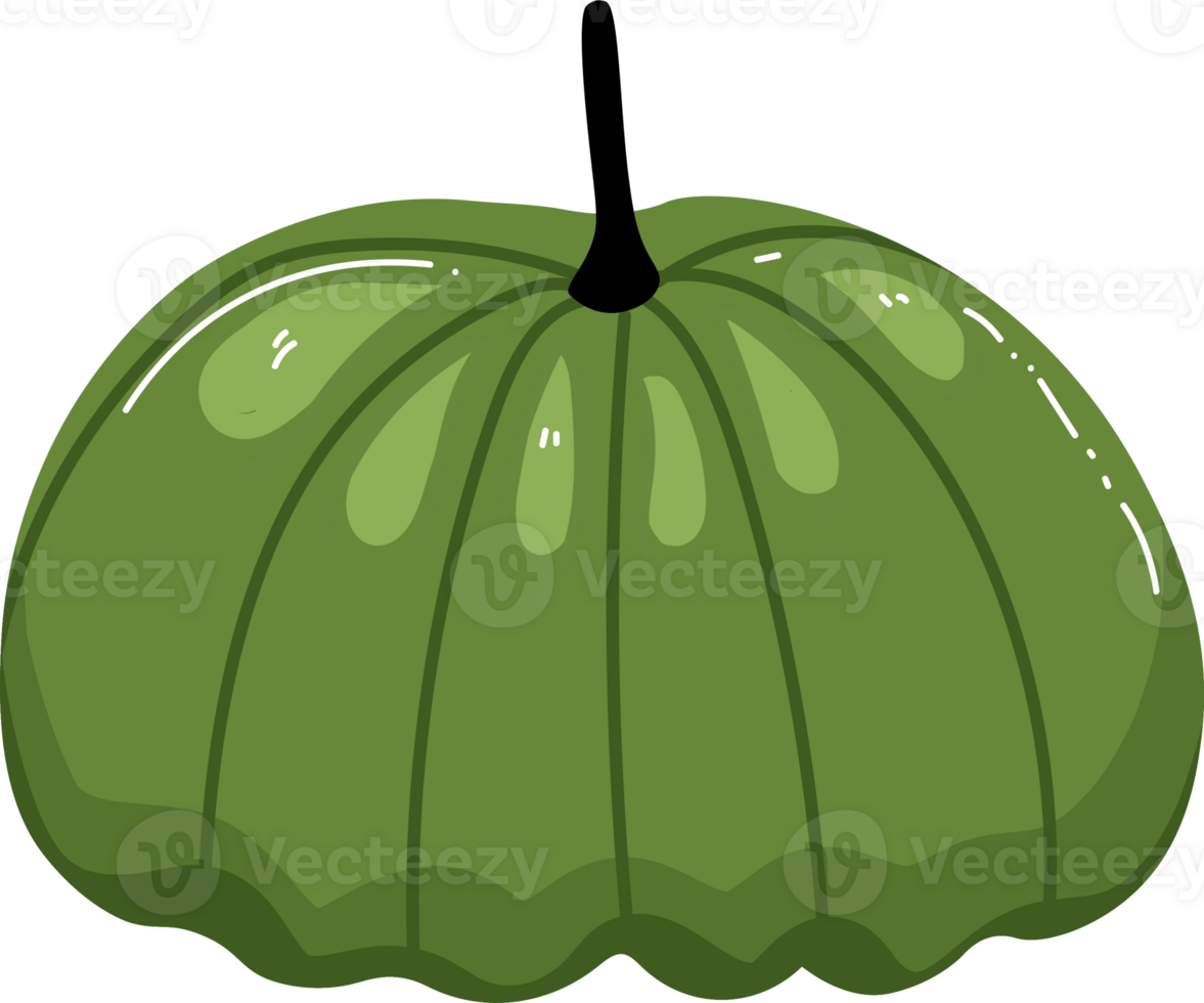 Ripe Pumpkin in Autumn Atmosphere png