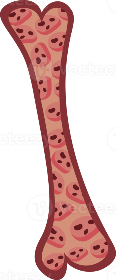 Osteoporotic Bone Structure Illustrating Bone Density Loss png