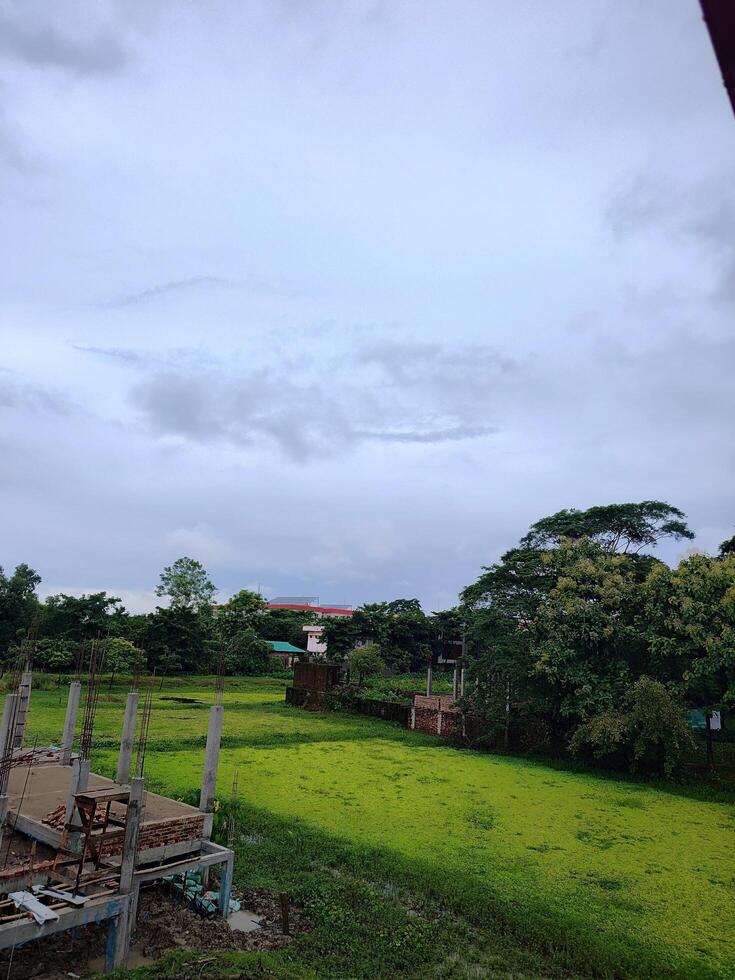 Outdoor scene under cloudy sky. Partially built concrete structure left. Vibrant green marshy field dominates center or right. Lush trees and faint distant buildings in background. photo