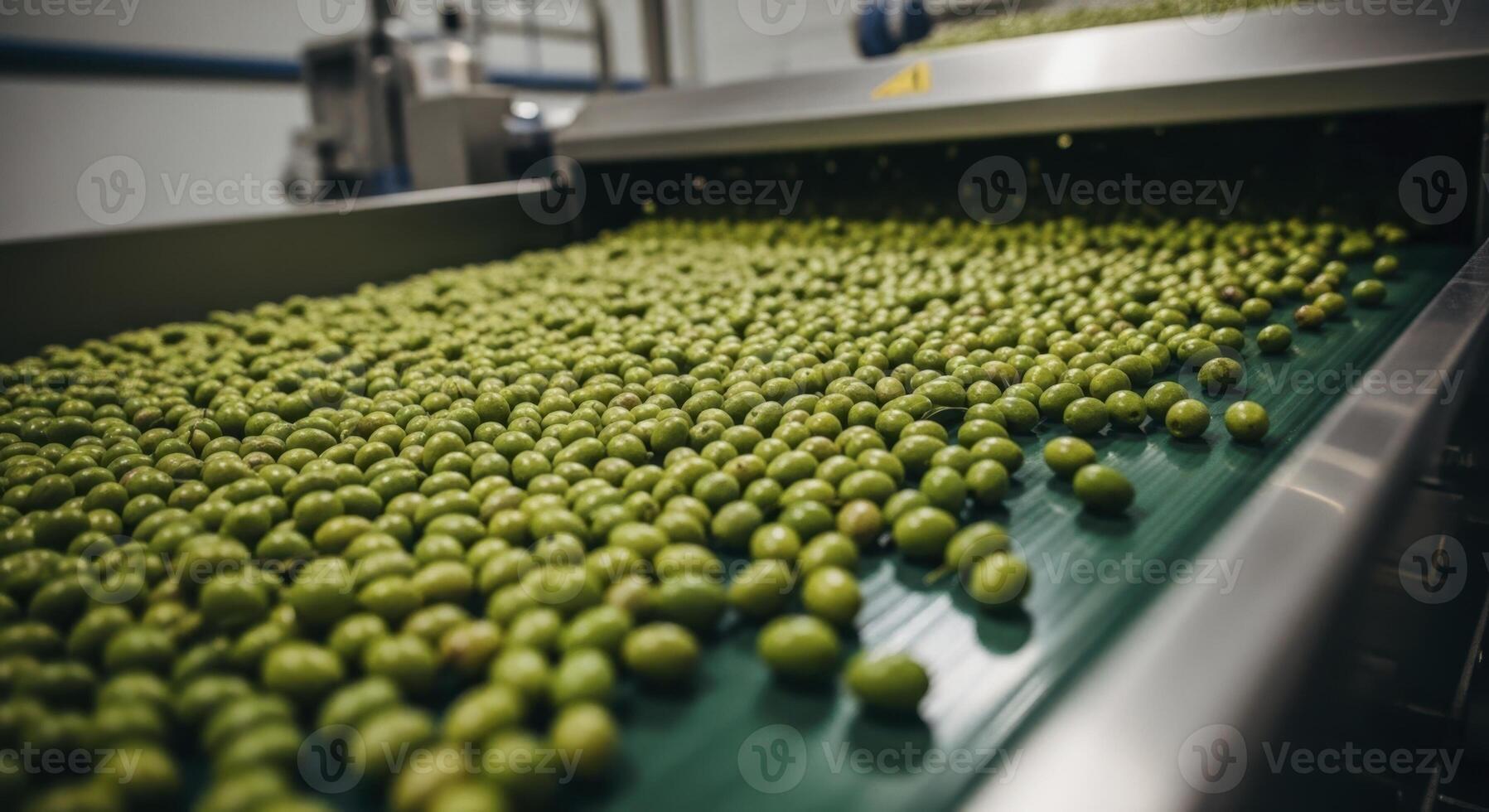 Fresh green olives being processed on a conveyor belt in a modern factory photo